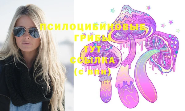 спиды Алексин